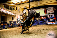 2015-03-12 Bull Riding Performance